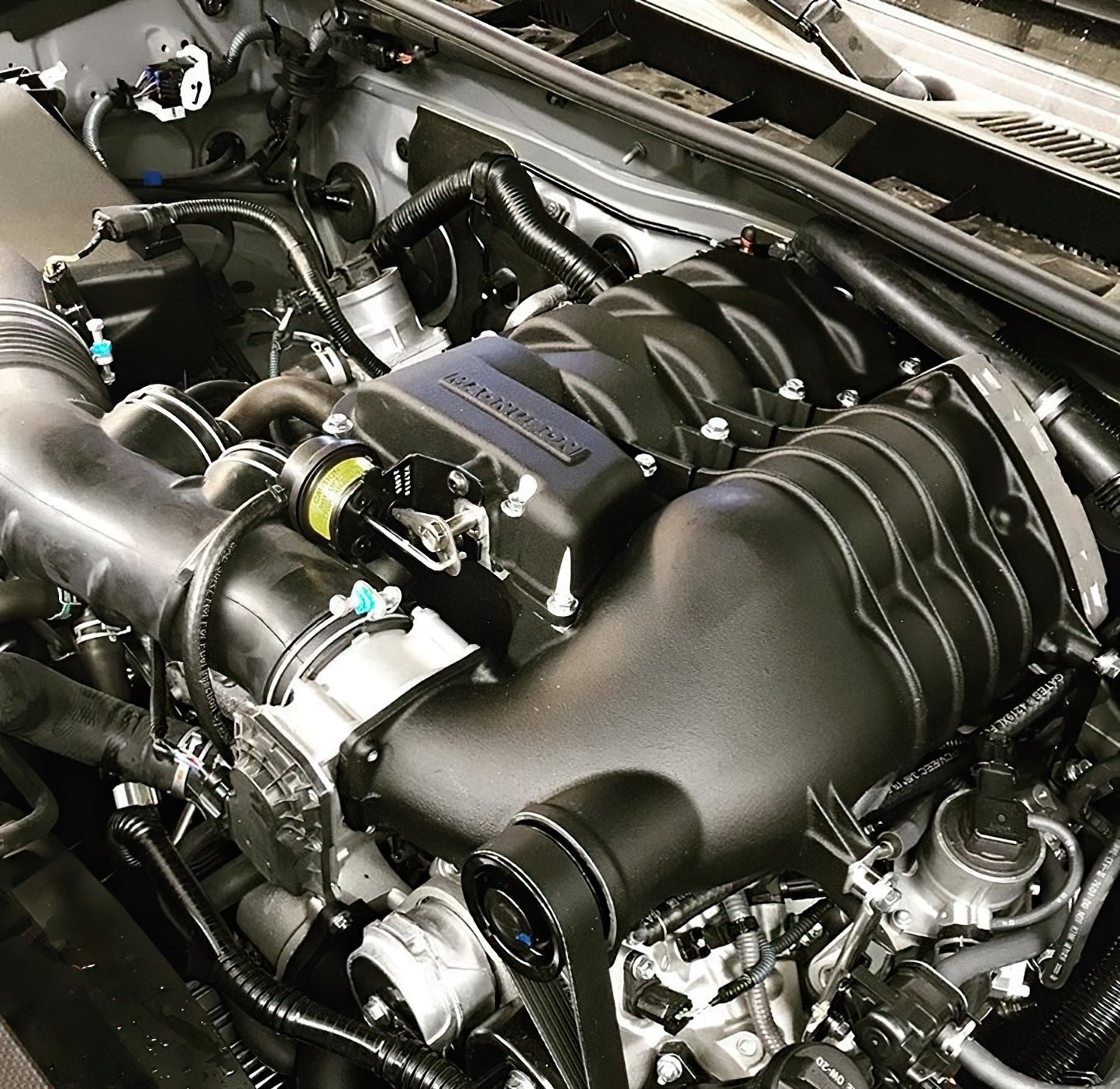 Magnuson TVS1320 Supercharger System
