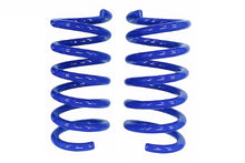Steeda Mustang GT Magneride Rear Drag Springs - Linear (2015-2026)