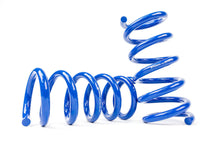 Steeda S550 Mustang Rear Drag Spring Kit (2015-2023)