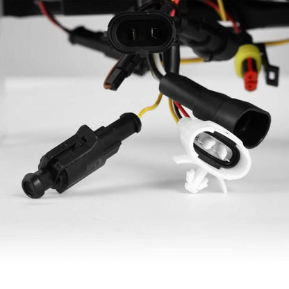 Photo - Primary