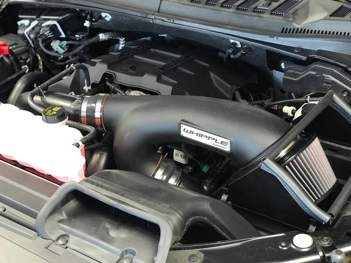 2015-2016 Ford F150/Raptor 3.5L EcoBoost Cold Air Intake Kit (50-State Legal)