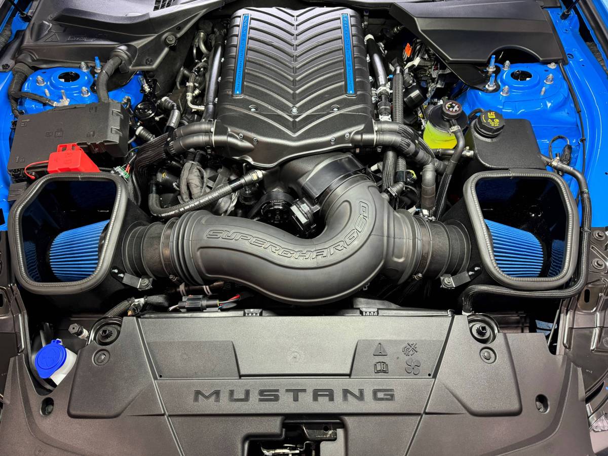2024-2026 Ford Mustang S650 Open Air Box Kit - Whipple Supercharged Models (50-State Legal)